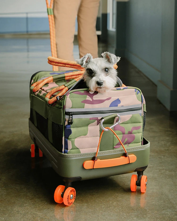 Dog Carrier Bag - Waxed Canvas & Leather Pet Travel Tote - Black - DJANGO