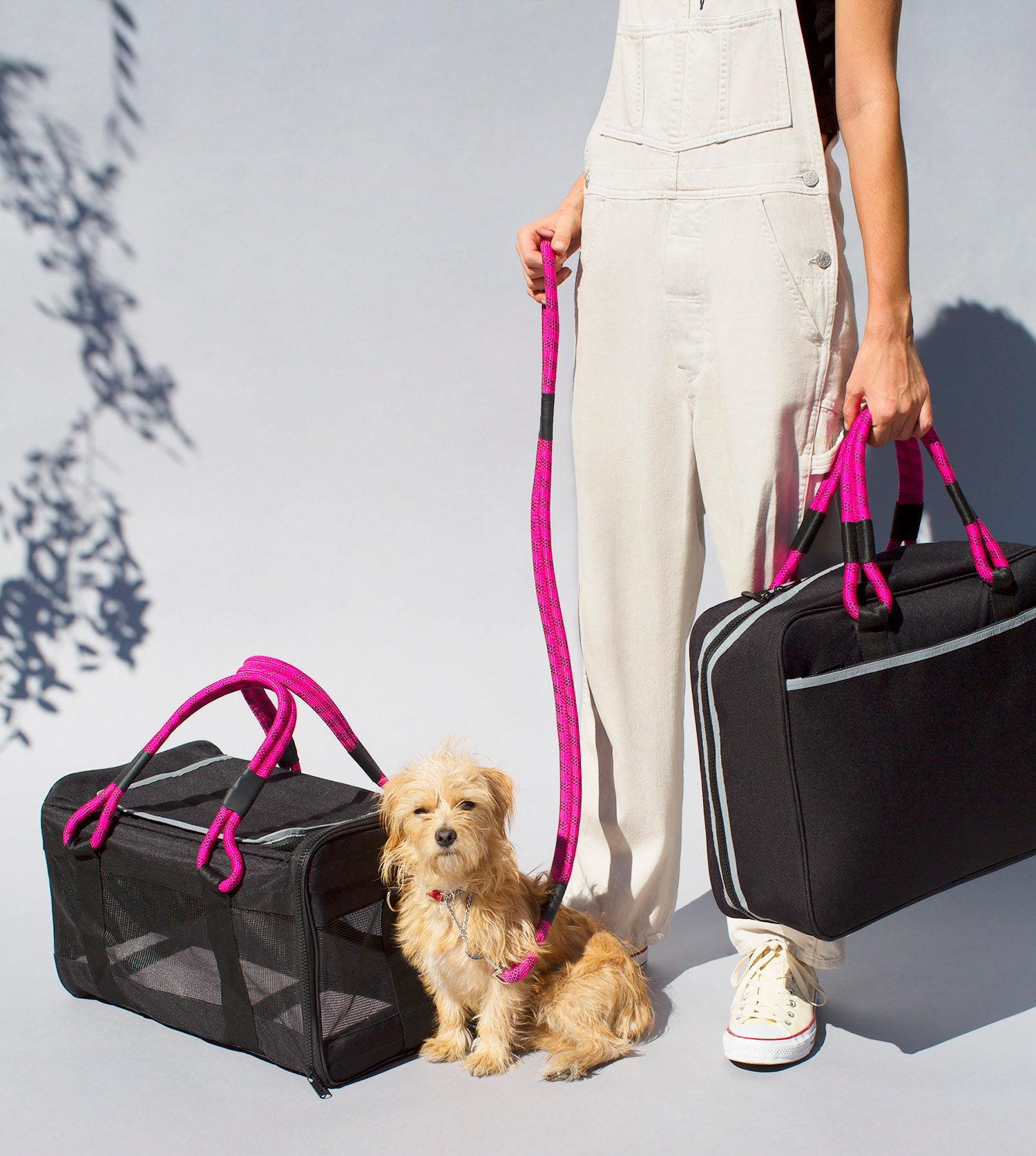 DIY - How to Make: Louis Vuitton inspired Luggage with Pet Carrier 
