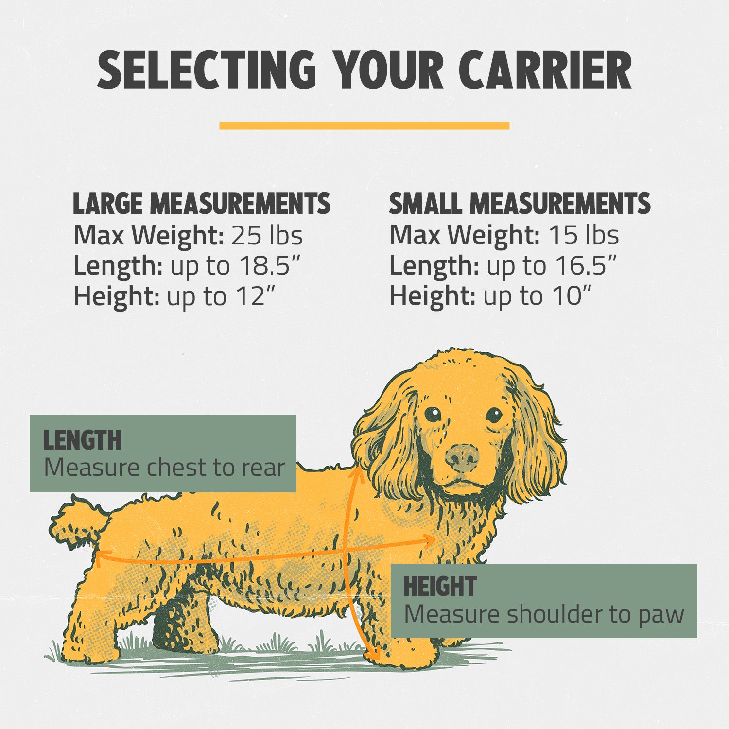 travel pet carrier size