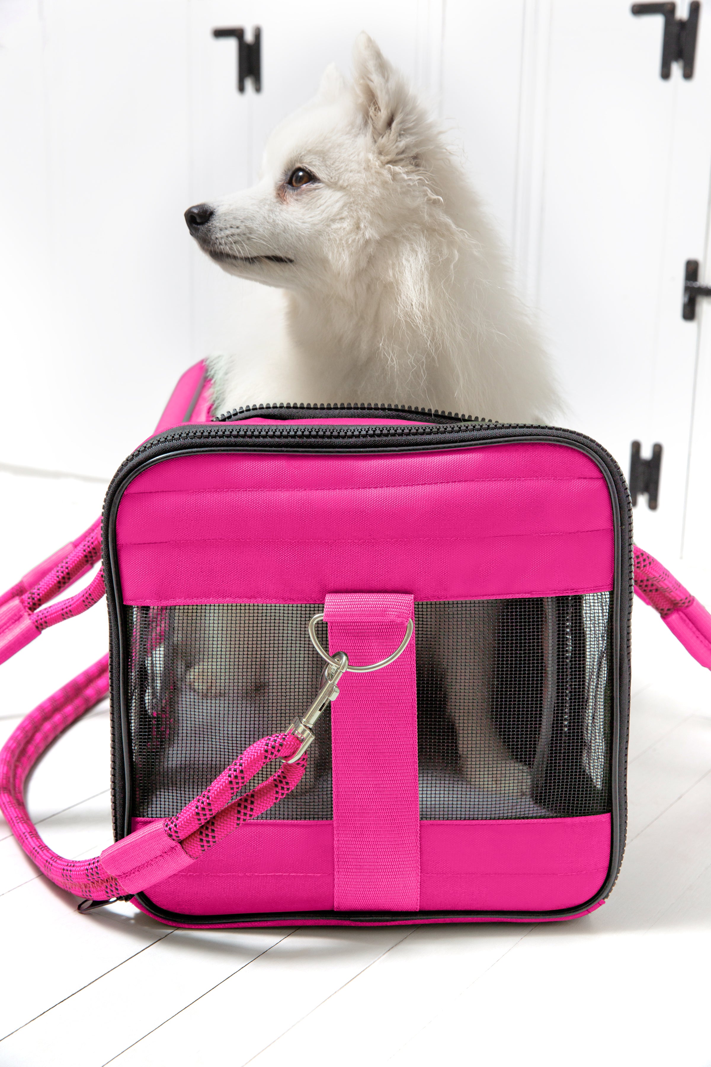 Small shops pink pet carrier