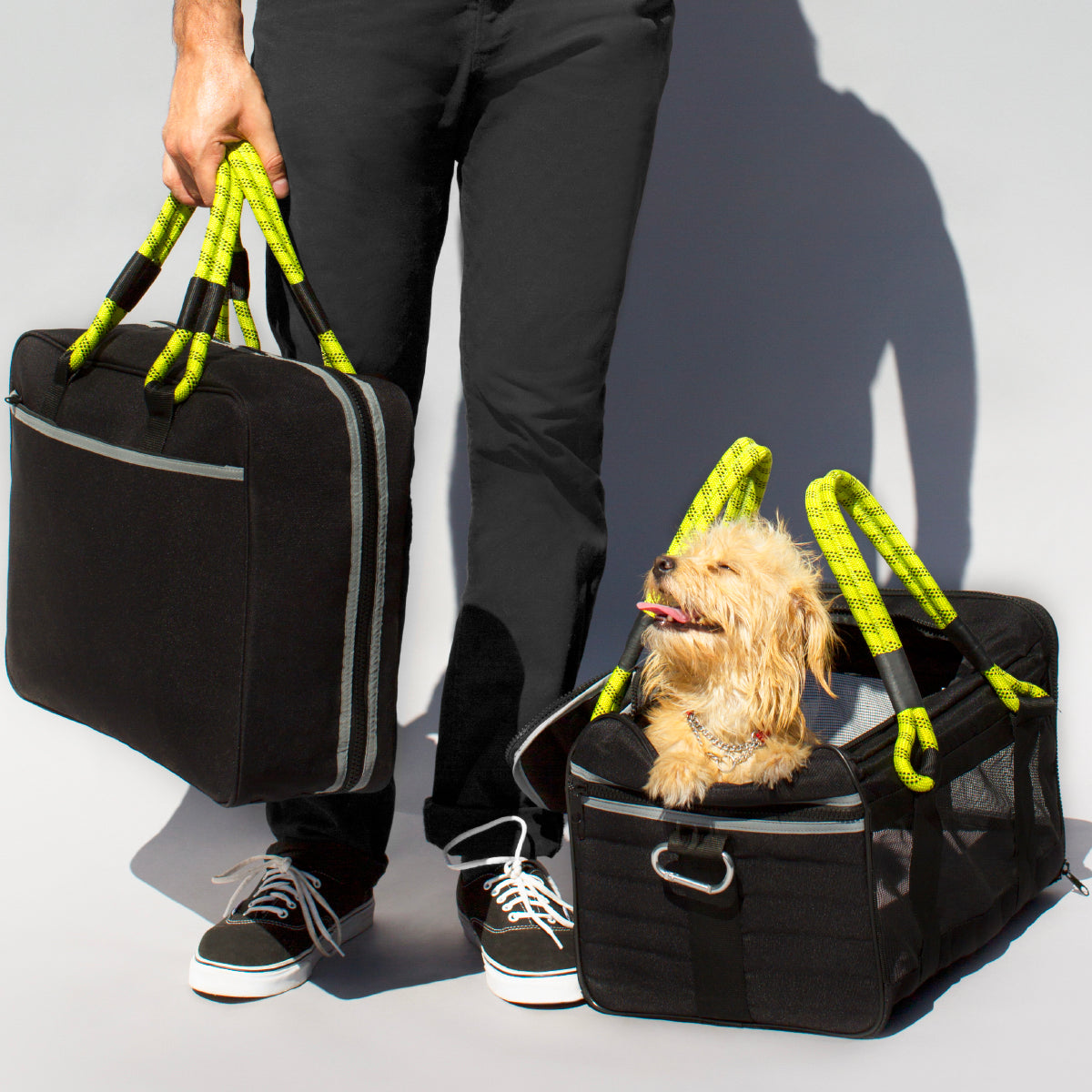 Photos of Dogs Flying with Roverlund Pet Carriers ROVERLUND