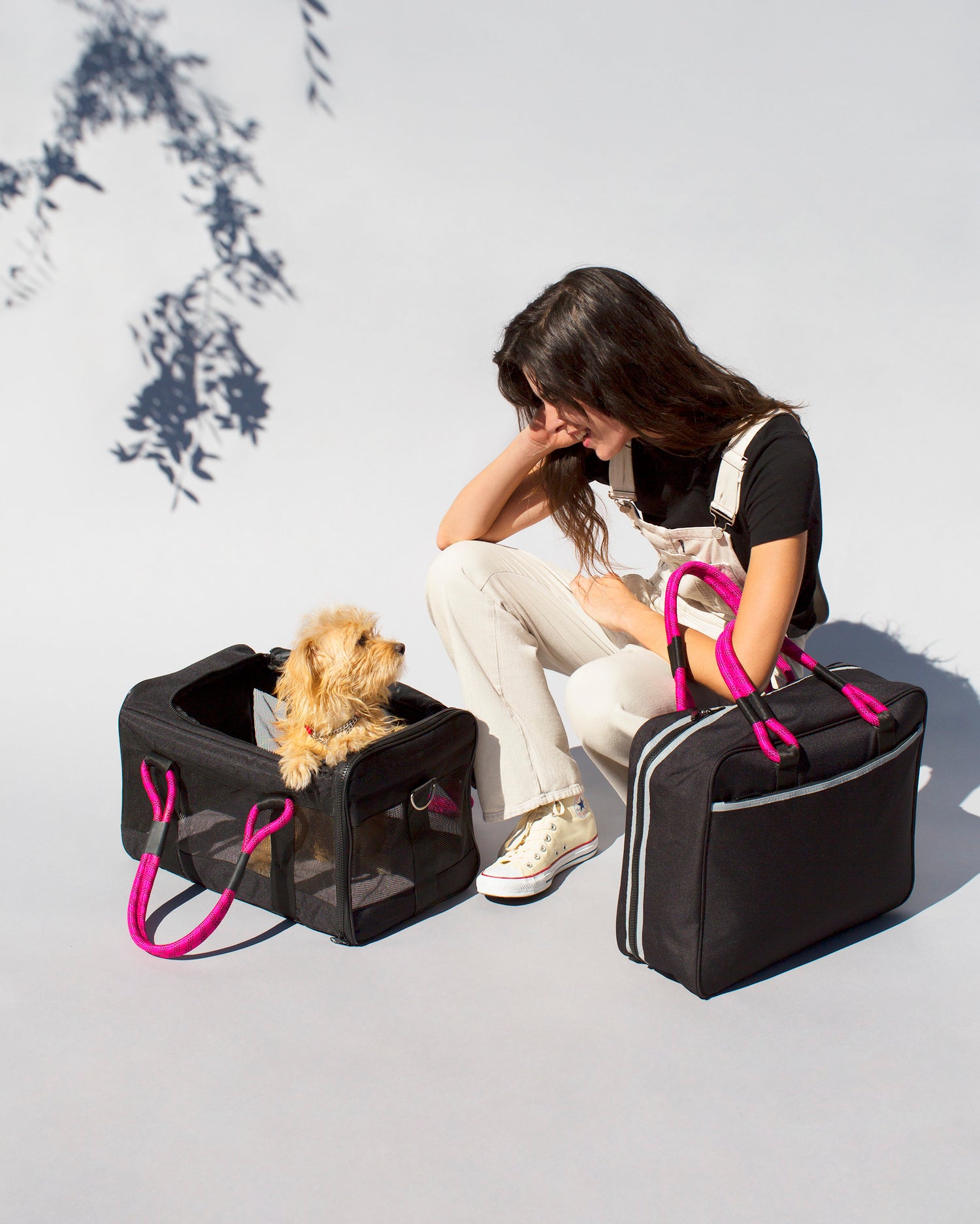 Airline Compliant Pet Carrier Sizing Guide & The Perfect Fit