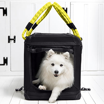 Collapsible Crate for Pets up to 30lbs – ROVERLUND