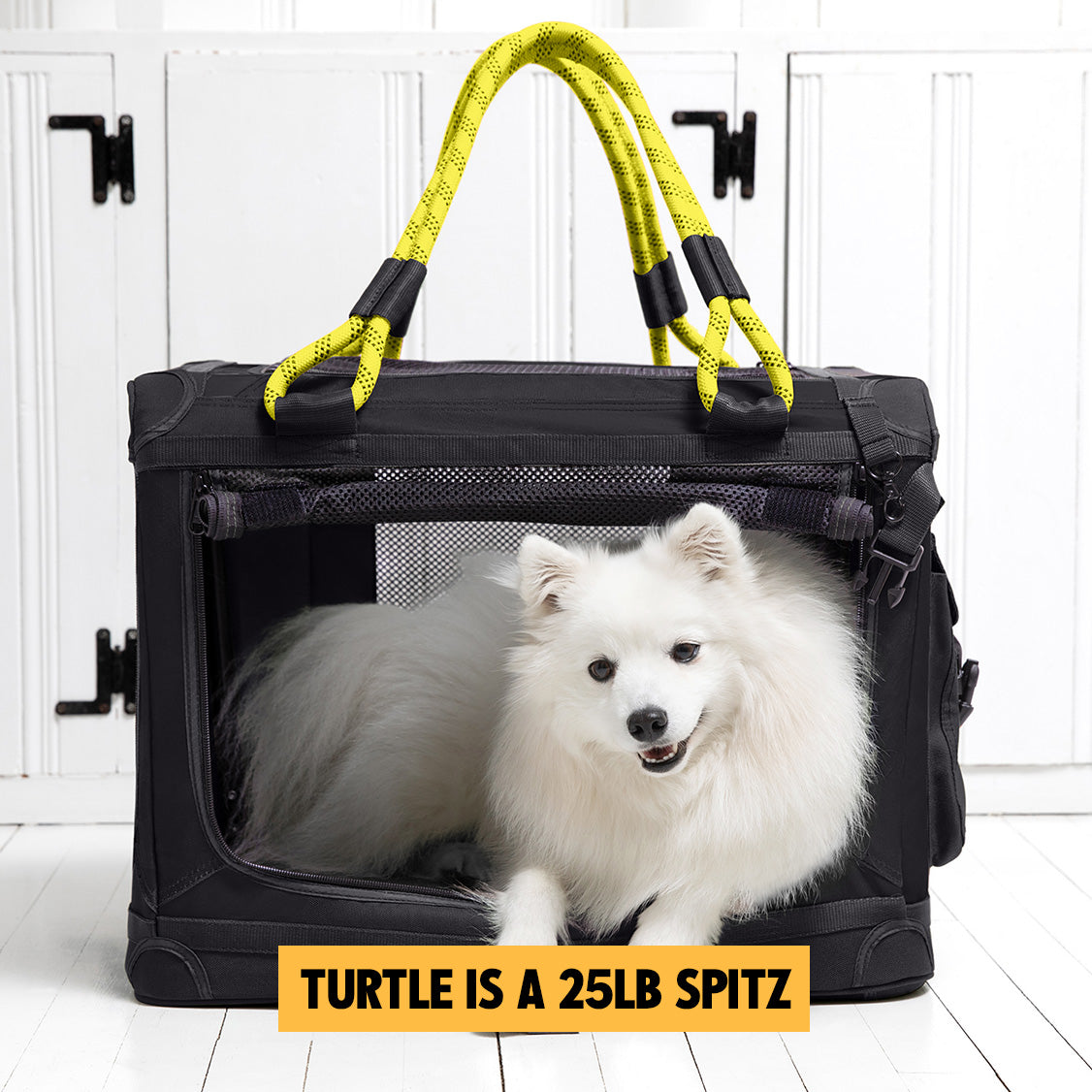 https://www.roverlund.com/cdn/shop/products/PetCrate_SizingReference_Turtle_2.jpg?v=1703084318