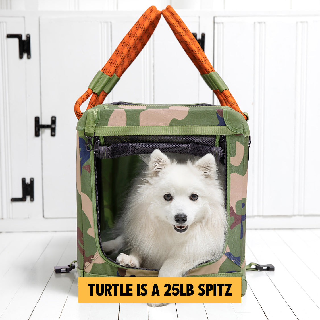 https://www.roverlund.com/cdn/shop/products/PetCrate_SizingReference_Turtle_4be9f9d8-33dd-403a-aa0e-616bd449d81b.jpg?v=1695587683