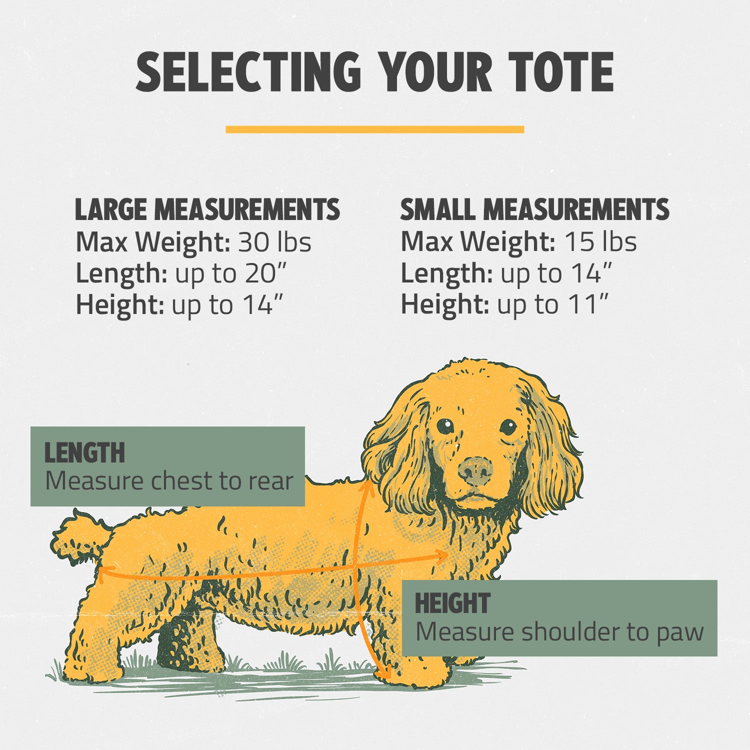 Medium-Weight Canvas Pet Tote