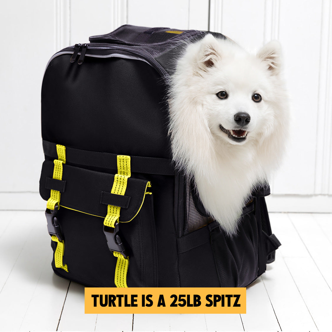 LV Atlantic Dog Backpack