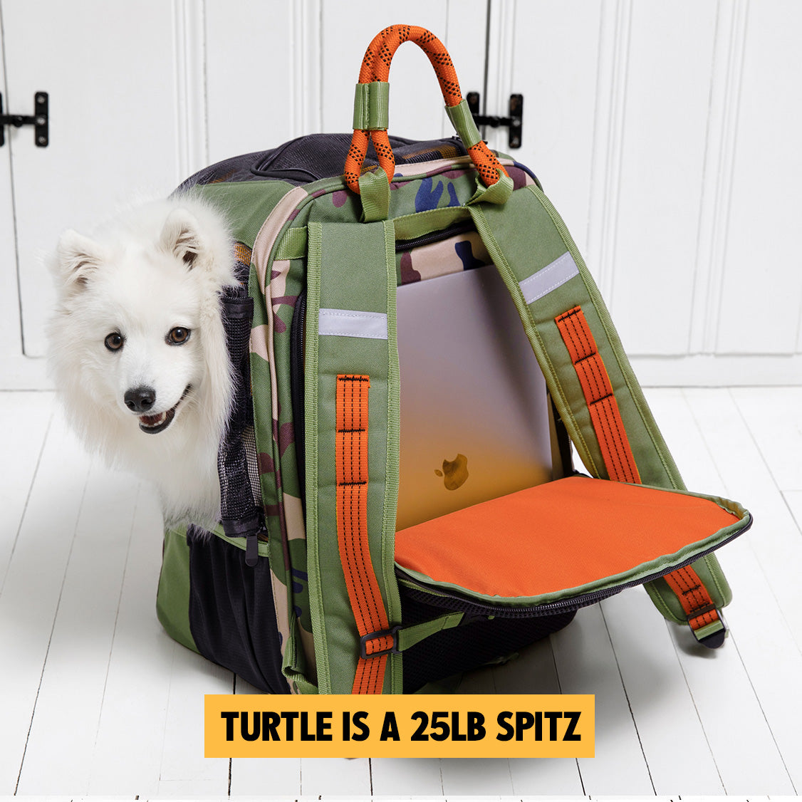 Pet carrier with Web